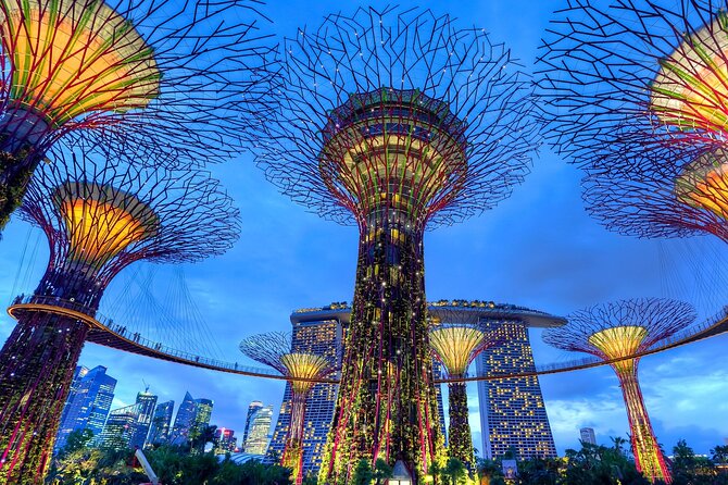 Private Singapore Night Tour with Gardens by the Bay&River Cruise - How the guide turns a good itinerary into a smart Singapore night