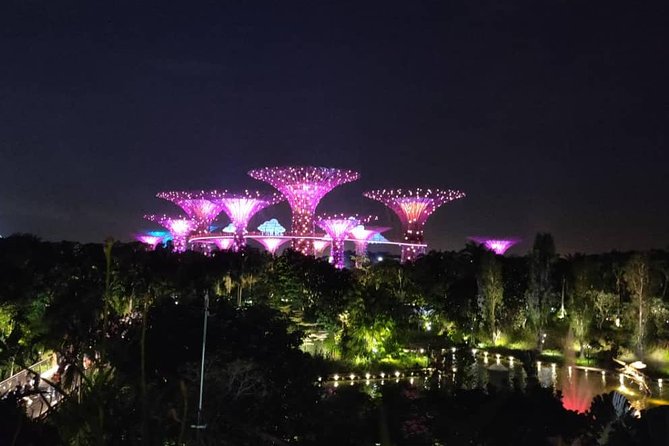 Private Tour: Nighttime Sightseeing with River Cruise - Gardens by the Bay and the SuperTrees Light Show at 7:45pm