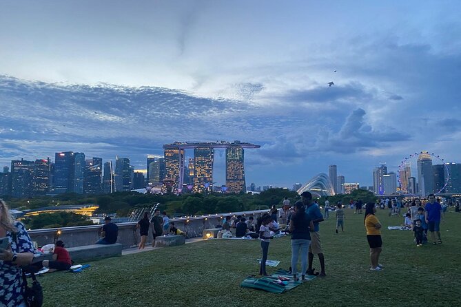 Private Tour Singapore Nighttime sightseeing + River Cruise(Max6) - Gardens by the Bay at night: SuperTree lights with room to enjoy