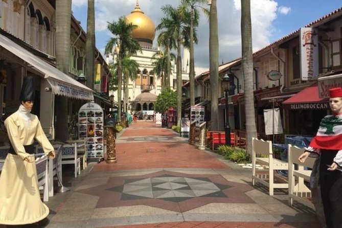 Private Tour:Singapore City Tour with Half Day Sentosa Island - Key things I’d book this for