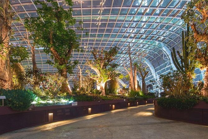 SandsSkyPark+GardensbytheBay(FlowerDome&Jurassic World)Transfers - What you’re really buying: tickets plus Marina Bay transfers