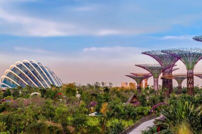 SandsSkyPark+GardensbytheBay(FlowerDome&Jurassic World)Transfers - Sands SkyPark Observation Deck: the 57-level skyline moment