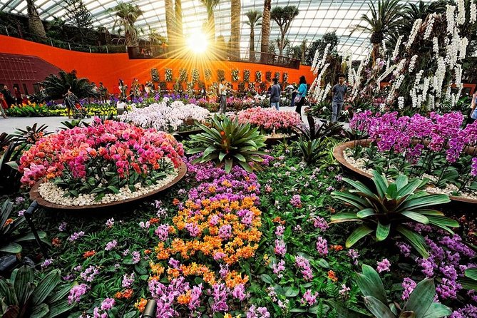 SandsSkyPark+GardensbytheBay(FlowerDome&Jurassic World)Transfers - Timing and pacing: does 6 hours feel enough?