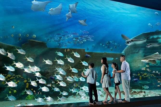 Sentosa Luxe: A Premium Half-Day Island Discovery Private Tour - Key highlights to know before you go