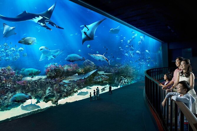 Sentosa Luxe: A Premium Half-Day Island Discovery Private Tour - Start at Imbiah Lookout: build your Sentosa map in 30 minutes