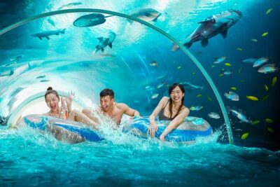 Singapore: Adventure Cove Waterpark Entrance Ticket - Thrill Rides: From Hydro-Magnetic Speed to the Cliff Jump