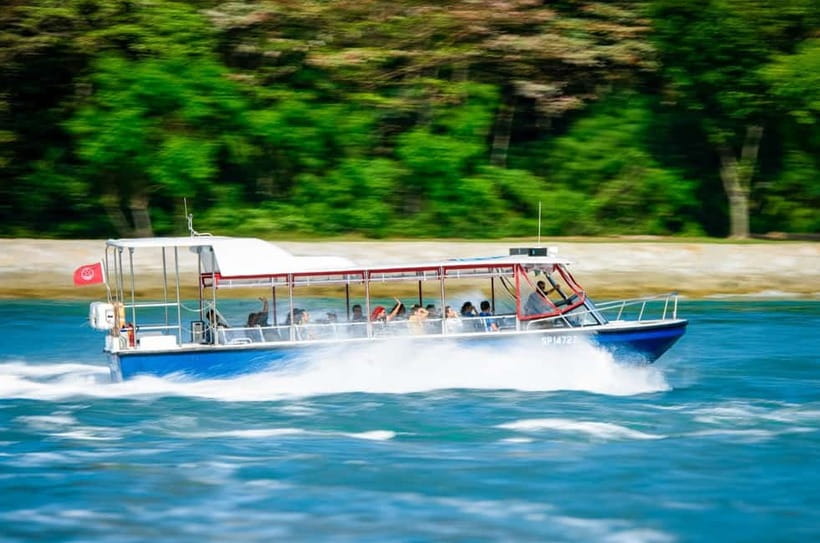 Singapore: Albatross Speedboat Adventures Ticket - Key things to know before you go