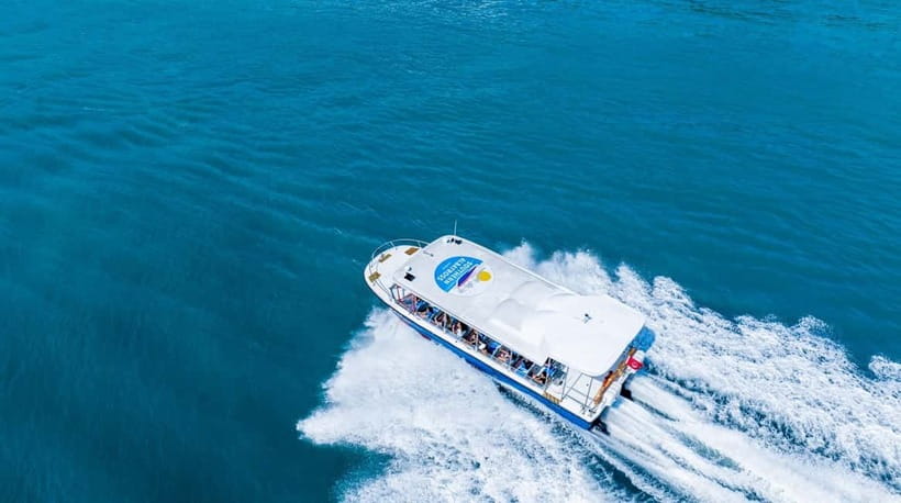 Singapore: Albatross Speedboat Adventures Ticket - What You See on the Water: Dragon’s Teeth Gate, Lazarus, and St John’s