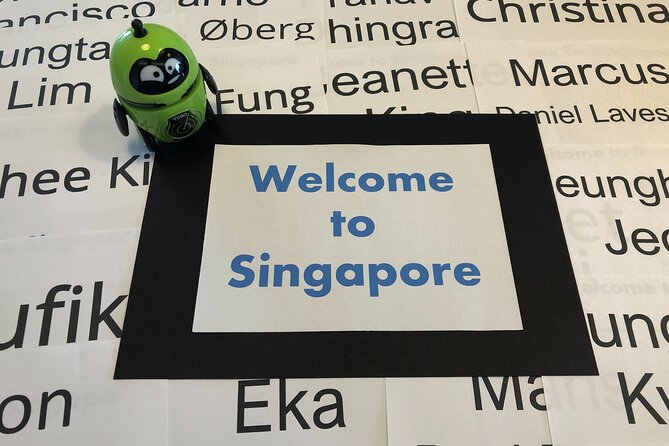 Singapore Arrival Ground Transfer in Limo-Bus - Who This Transfer Fits Best