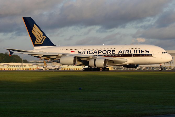 Singapore Arrival Transfer (Airport to Hotel) - Key Highlights You’ll Care About