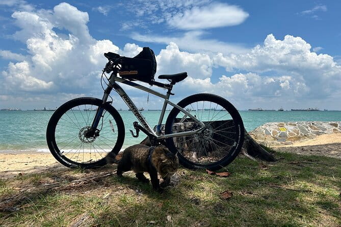 Singapore Beach City Cycling Tour - Price and value: what $92.71 buys you in Singapore