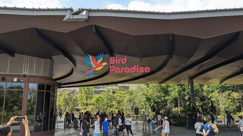 Singapore: Bird Paradise - Bird Paradise Singapore: 8 Aviaries, 1 Day, and Serious Color
