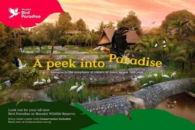 Singapore: Bird Paradise Entry Ticket - Getting to Bird Paradise and using the daily in-park shuttle