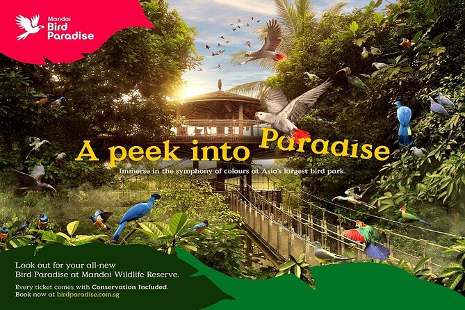Singapore: Bird Paradise Entry Ticket - Shows and up-close moments: Kings of the Skies, High Flyers, and feeding sessions