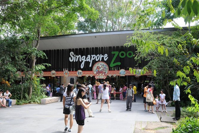 Singapore Bird Paradise & Zoo Full Day (Ticket & Transfer ) - Why this Zoo + Bird Paradise day feels like good Singapore value