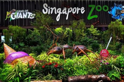 Singapore Bird Paradise & Zoo Full Day (Ticket & Transfer ) - Price and logistics: what’s included, what you’ll still need to pay