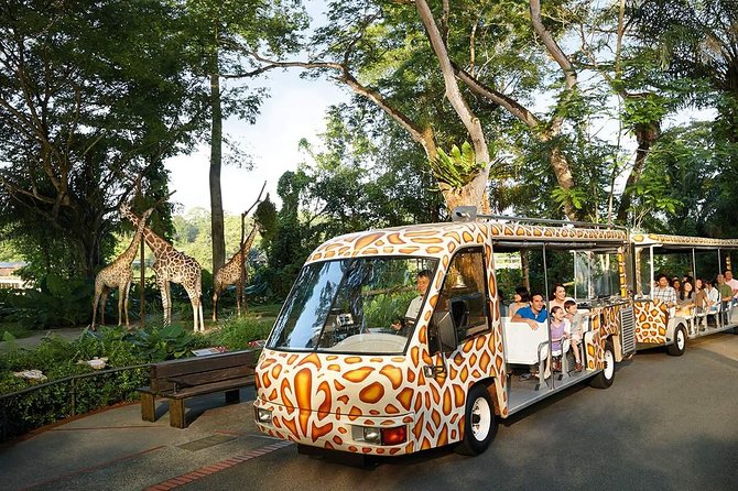 Singapore Bird Paradise & Zoo Full Day (Ticket & Transfer ) - How the Singapore Zoo experience feels in practice