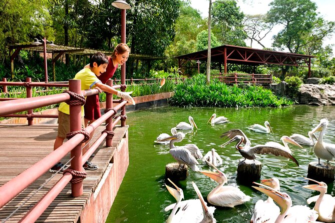Singapore Bird Paradise & Zoo Full Day (Ticket & Transfer ) - Timing your day so you don’t feel rushed before 6:00pm