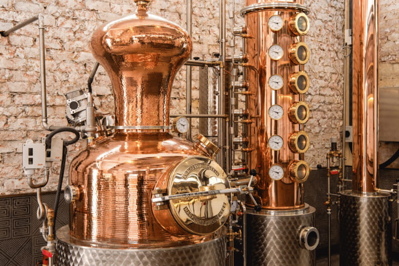 Singapore: Brass Lion Guided Gin Tasting Experience Ticket - The Six-Gin Flight: Singapore Dry Plus Specialty and Limited Releases