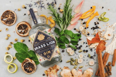 Singapore: Brass Lion Guided Gin Tasting Experience Ticket - The Distillery Intro That Actually Helps Your Tasting