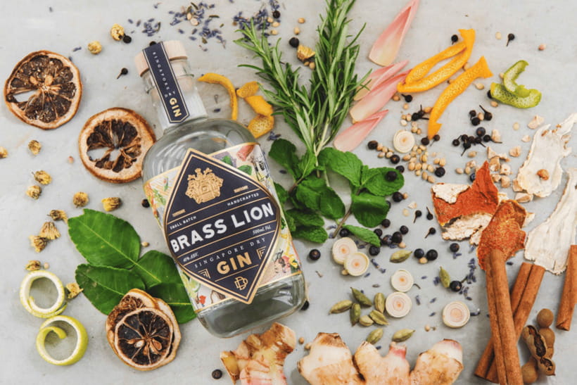 Singapore: Brass Lion Guided Gin Tasting Experience Ticket - The Distillery Intro That Actually Helps Your Tasting