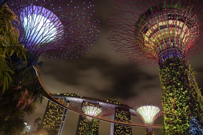 Singapore by Night Top Senic Sightseeing Private Tour - Marina Bay Sands SkyPark: the 360-degree skyline moment you can’t fake