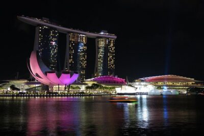 Singapore by Night Top Senic Sightseeing Private Tour - Supertree Grove and the 7:45 pm Gardens by the Bay light show