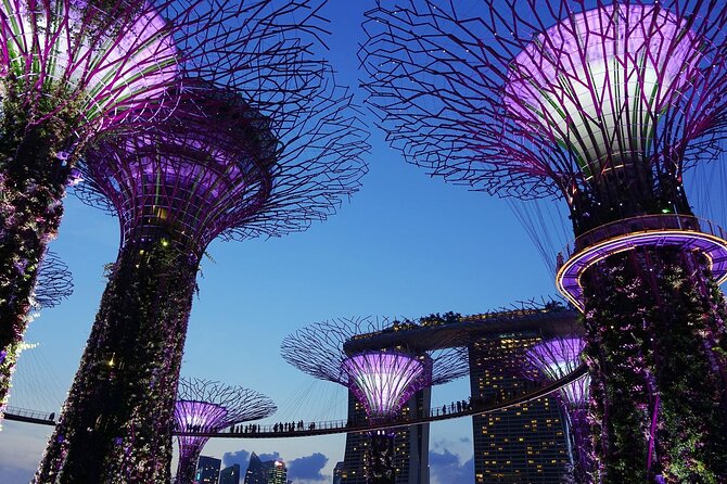Singapore by Night Top Senic Sightseeing Private Tour - Price and value: what $185.09 gets you (and what it doesn’t)