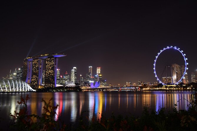 Singapore by Night Top Senic Sightseeing Private Tour - Who this tour fits best, and who should choose something else
