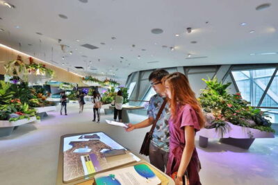 Singapore: Changi Experience Studio Ticket at Changi Airport - VR Flights and Terminal Navigation That Actually Help You