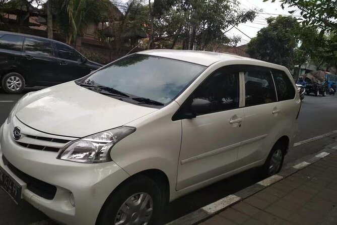 Singapore Changi SIN Airport Private Transfer to City Center - How pickup works at SIN: contact info, meeting point, and what to do on arrival