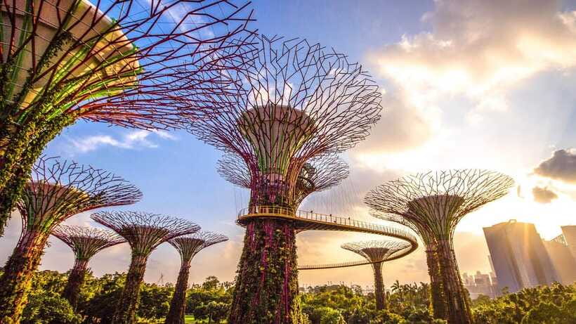 Singapore: City Tour & Jurassic World at Gardens by the Bay - The Logistics That Can Make or Break Your Comfort