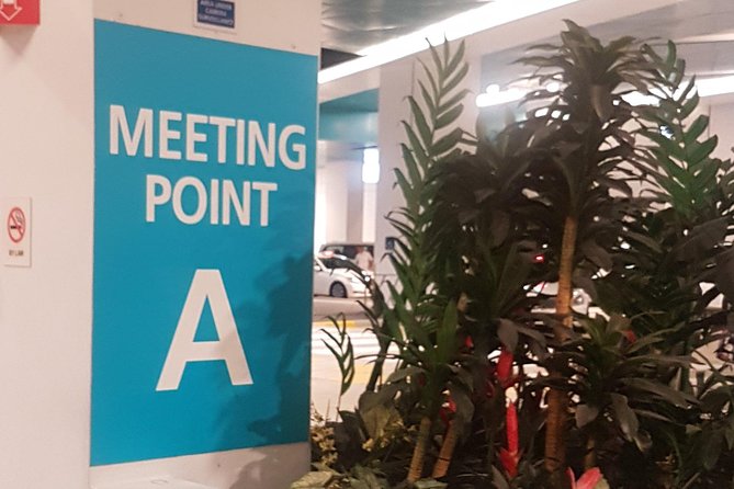 Singapore Cruise Centre Transfer to Hotel - What “Free Waiting Time” Means When Ships Run Late