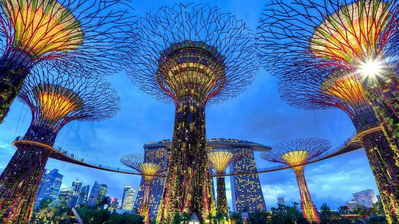 Singapore: Day Tour for Sentosa, Gardens by the Bay, Flyer - Stop 3: Gardens by the Bay for Supertrees, Flower Dome, and Cloud Forest-Style Atmosphere