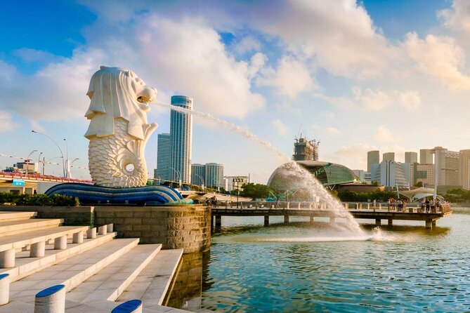 Singapore Departure Transfer (Hotel to Airport) - Practical Tips for a Smooth Airport Morning