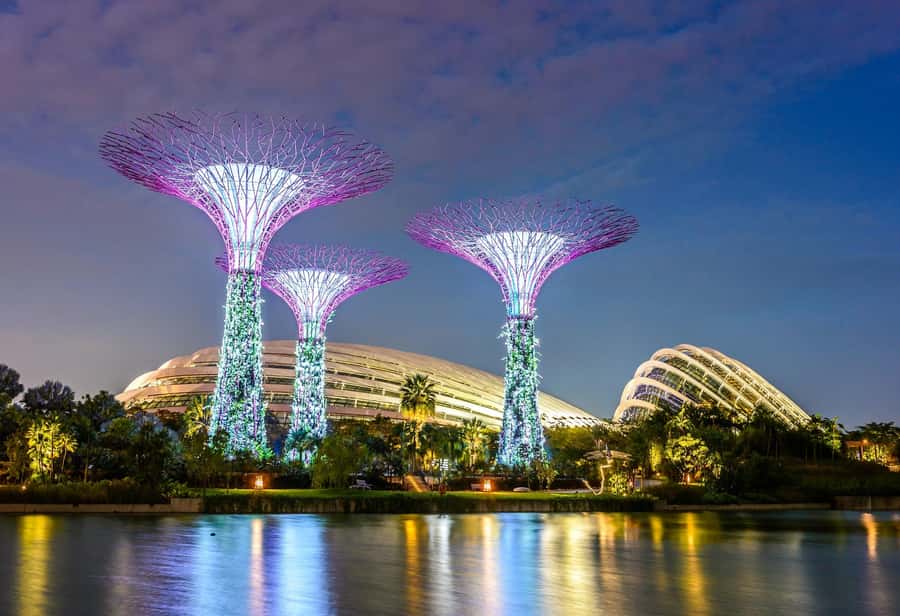 Singapore: Disney Garden of Wonder at Floral Fantasy - Key highlights you’ll care about