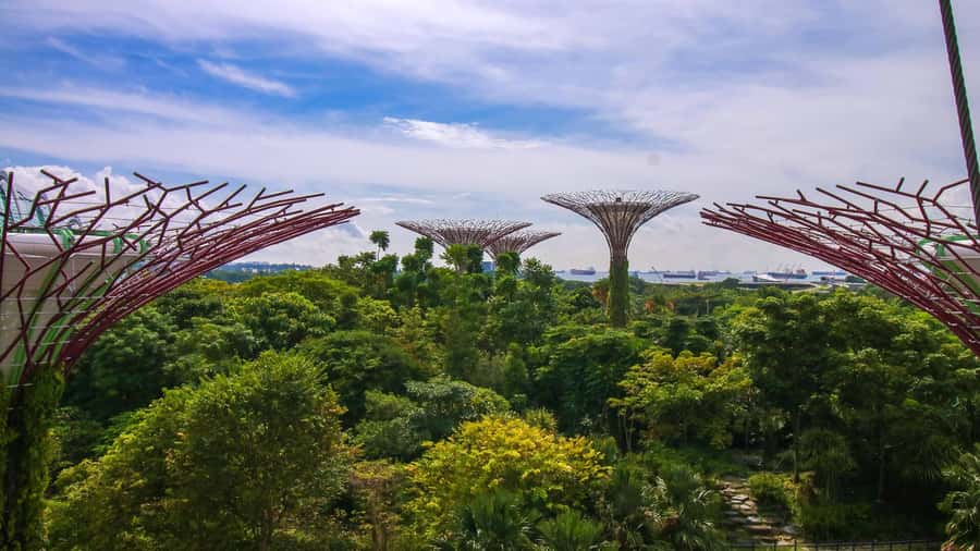 Singapore: Disney Garden of Wonder at Floral Fantasy - Timing rules: opening hours you should build your plan around