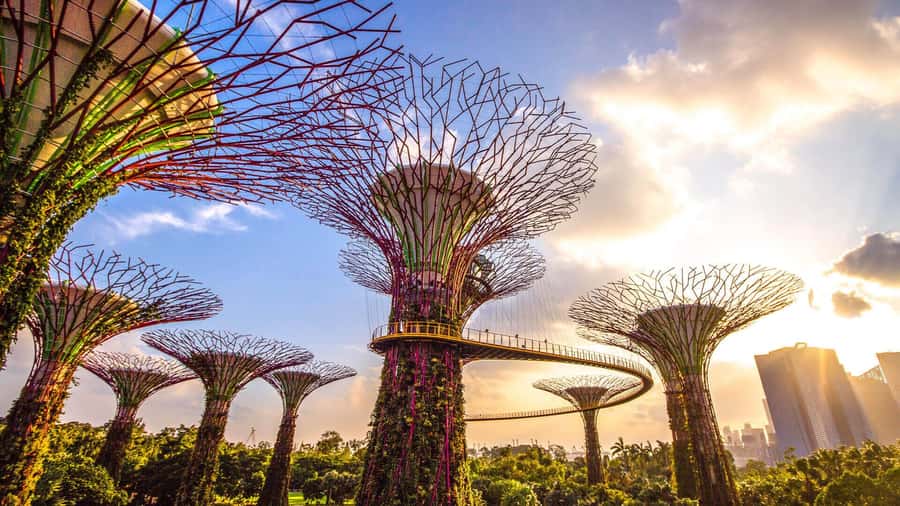 Singapore: Disney Garden of Wonder at Floral Fantasy - Who should book this experience