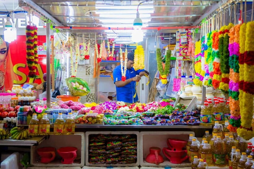 Singapore Essentials: 4-Hour Private Tour - Price and value at $75 per person, plus a timing warning