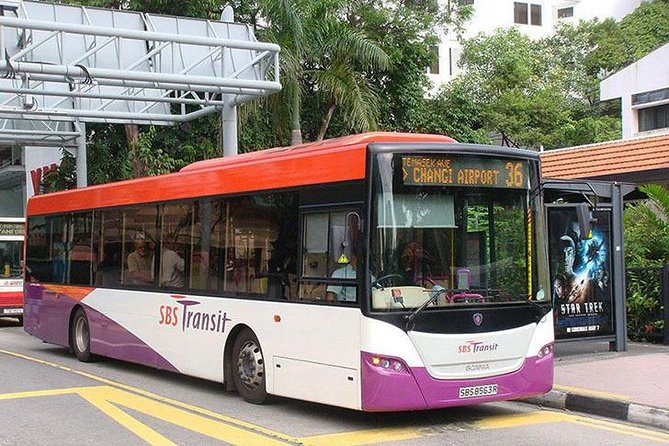 Singapore Ez-link Card (SG Airport Pickup) - EZ-Link Card at Changi: What You’re Really Buying
