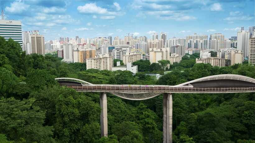 Singapore: Faber Peak Guided Walking Tour with Breakfast - Henderson Waves and Alexandra Arch: Architecture Built for Walking