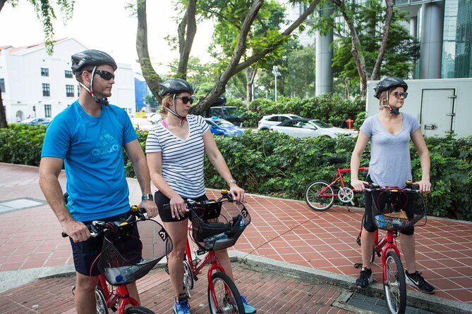 Singapore Full-Day Bike & Food Tour ( Private Tour ) - Key Things That Make This Tour Worth Your Time