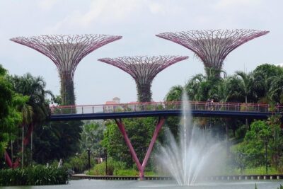 Singapore: Gardens by the Bay Admission E-Ticket - Supertree Grove After Dark: How to Catch Garden Rhapsody