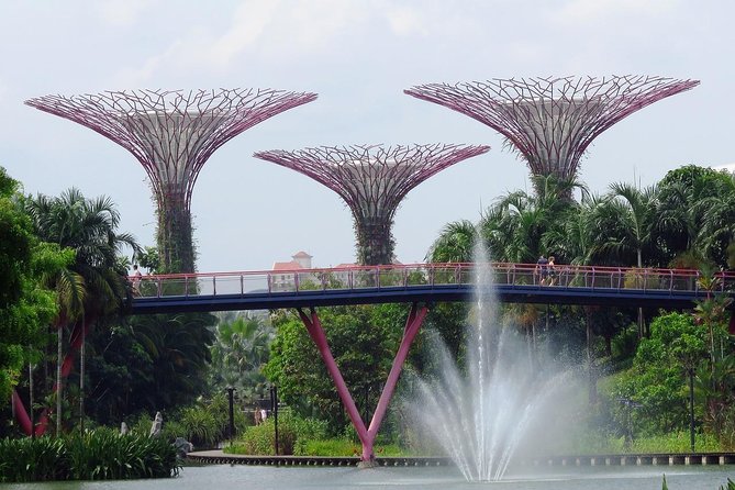 Singapore: Gardens by the Bay Admission E-Ticket - Supertree Grove After Dark: How to Catch Garden Rhapsody