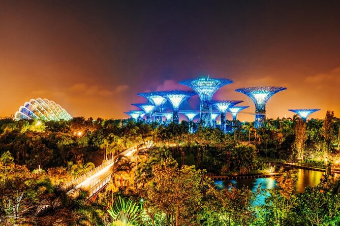 Singapore Gardens by the Bay Admission Skip-The-Line E-Ticket - Skip-The-Line Ticket Value at Gardens by the Bay