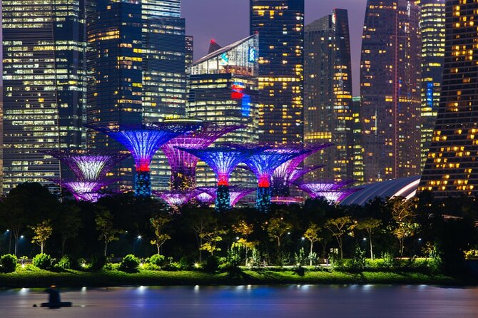 Singapore Gardens by the Bay Admission Skip-The-Line E-Ticket - Supertree Grove Walks and the OCBC Skyway Optional Upgrade