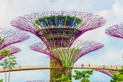 Singapore Gardens by the Bay Admission Skip-The-Line E-Ticket - Cloud Forest’s Mist-Filled Interior and Indoor Waterfall