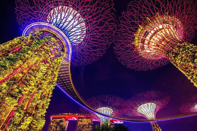 Singapore Gardens by the Bay Admission Skip-The-Line E-Ticket - Floral Fantasy: Four Flower Concepts You’ll Want to See in Order