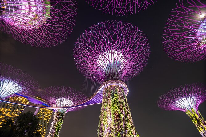 Singapore Gardens by the Bay Admission Skip-The-Line E-Ticket - A Practical 12-Hour Plan for a Smooth Day
