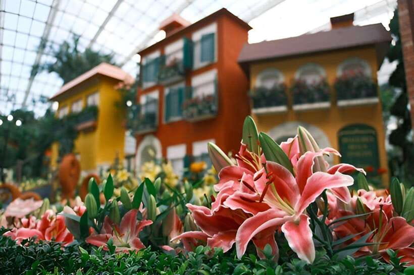 Singapore: Gardens by the Bay Bundle Entry Ticket - Floral Fantasy and the Flower Dome Connection